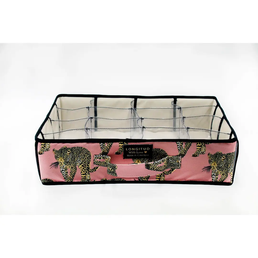 R024_DIVISIONES_LEOPARDO