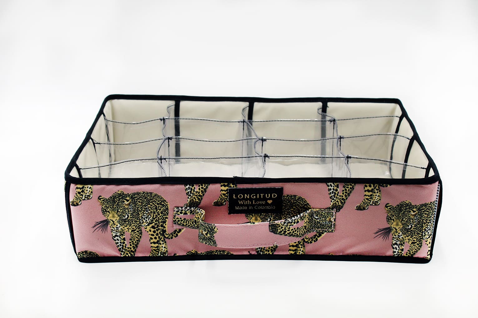 R024_DIVISIONES_LEOPARDO